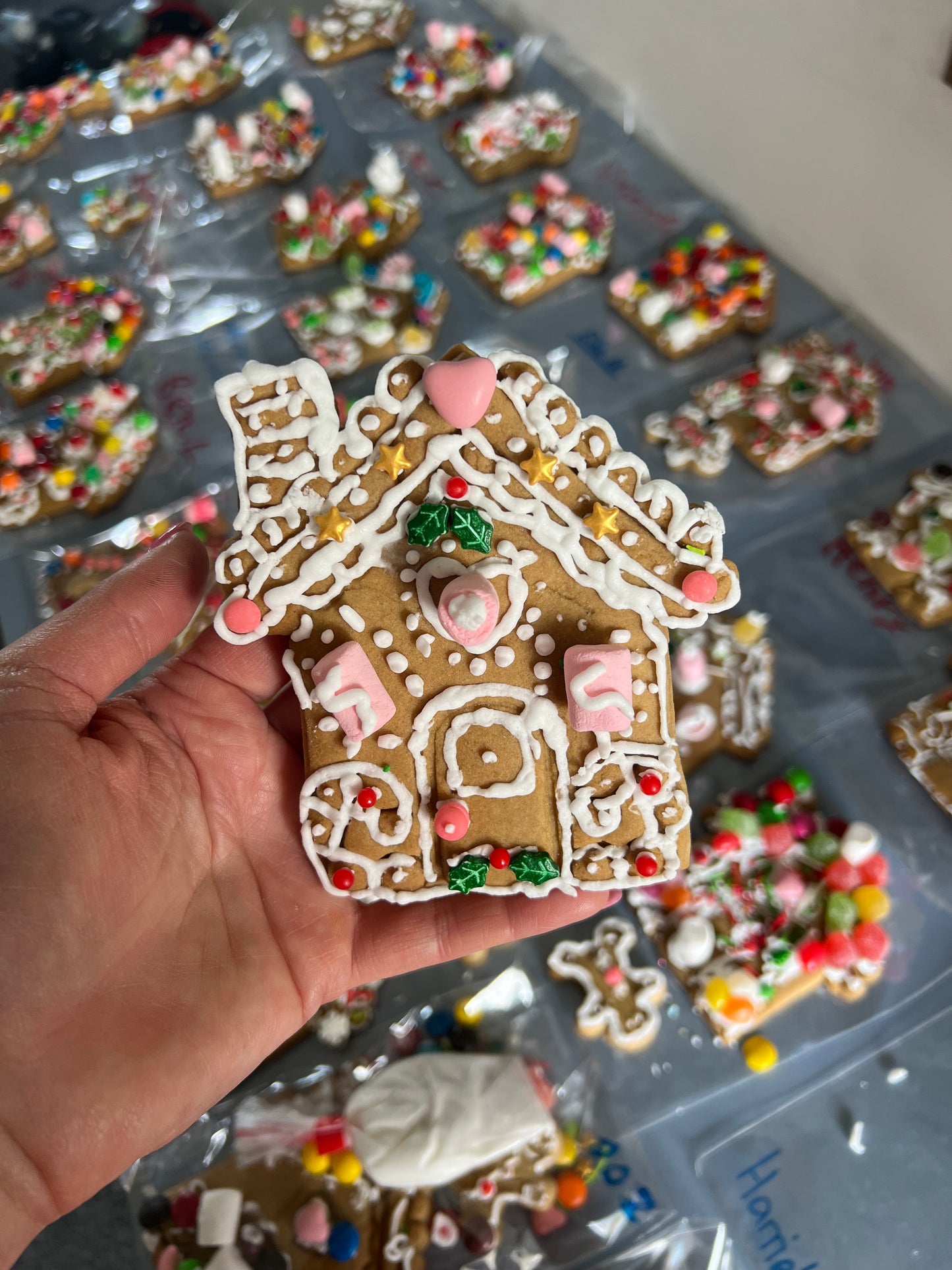 Gingerbread house decorating kit COOKIE