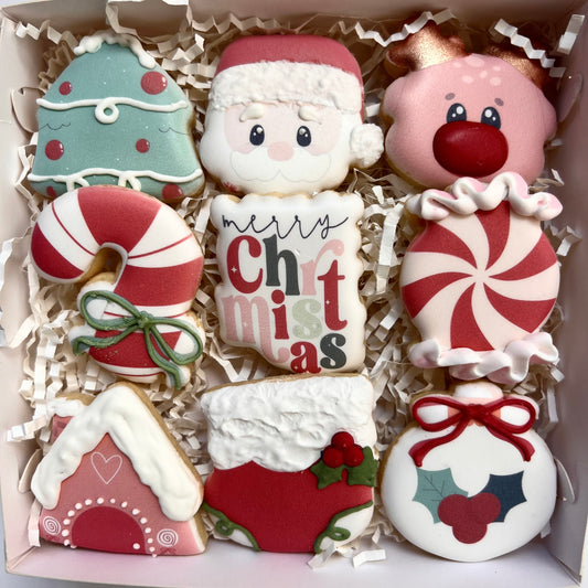 Mini cookies BOX OF 9